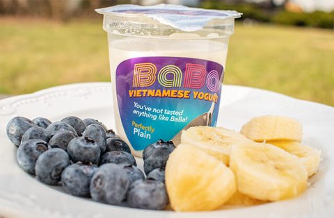Baba Yogurt on a plate of fruit